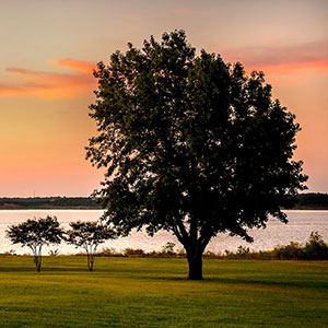 outdoor-wedding-venue-dallas